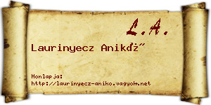 Laurinyecz Anikó névjegykártya